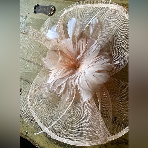 PINK FEATHER FASCINATOR HAT DRESSY MESH SHEER PINK FEATHER CLIP FASCINATOR - Picture 7 of 13